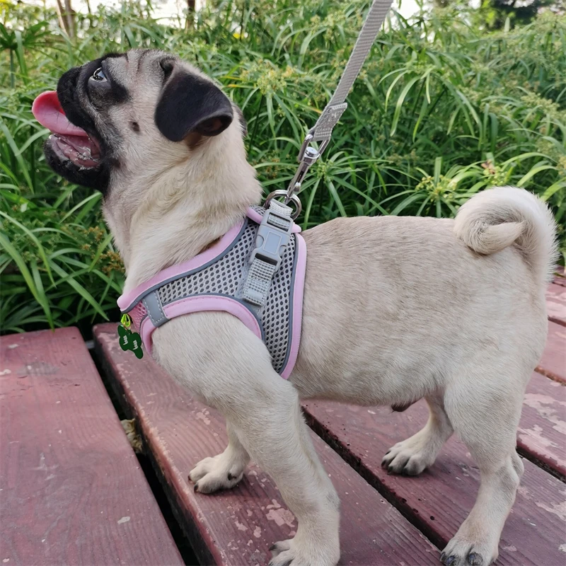

Adjustable Puppy Cat Harness Vest Dog Harness Leash Set for Small Dogs French Bulldog Chihuahua Pug Outdoor Walking Lead Leash