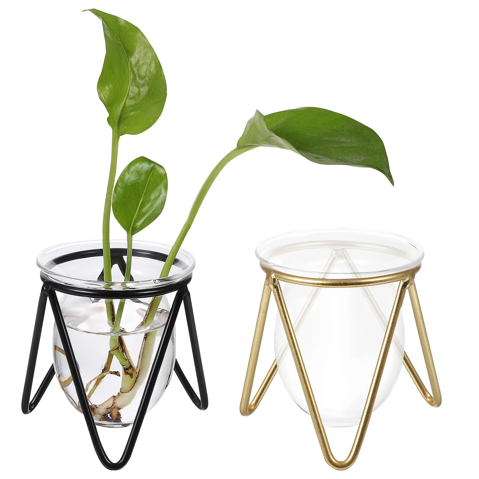 

2Pcs Transparent Glass Vase Green Dill Hydroponic Storage Container with Metal Stand Desktop Flower Arrangement