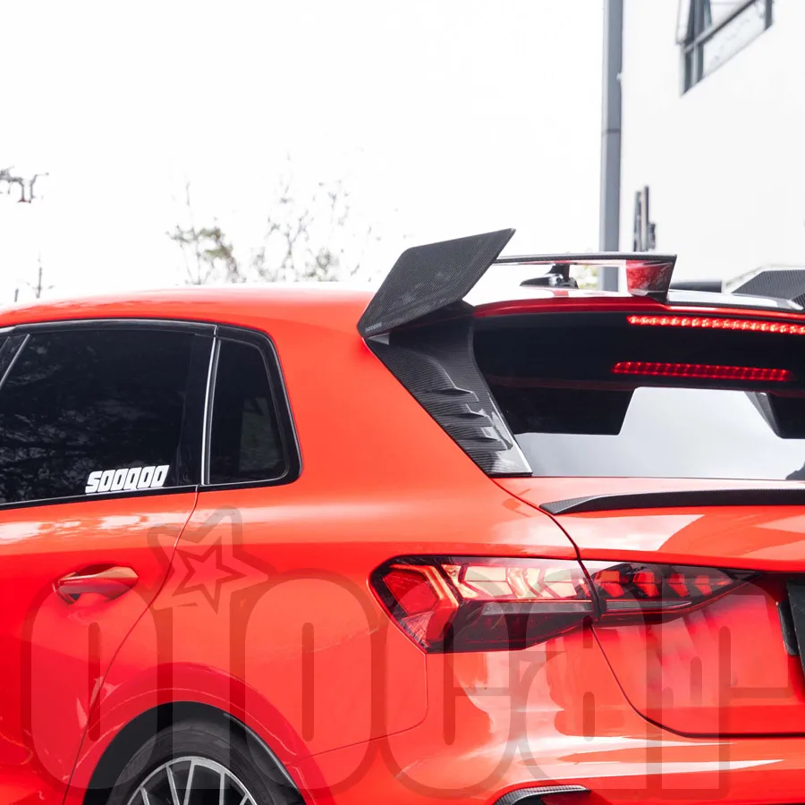Фото Заднее крыло Oiomotors SQ Style из сухого карбона для AUDI RS3 8Y №2