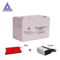 hot sale deep cycle lithium ion 12v100ah lifepo4 battery for electric boat