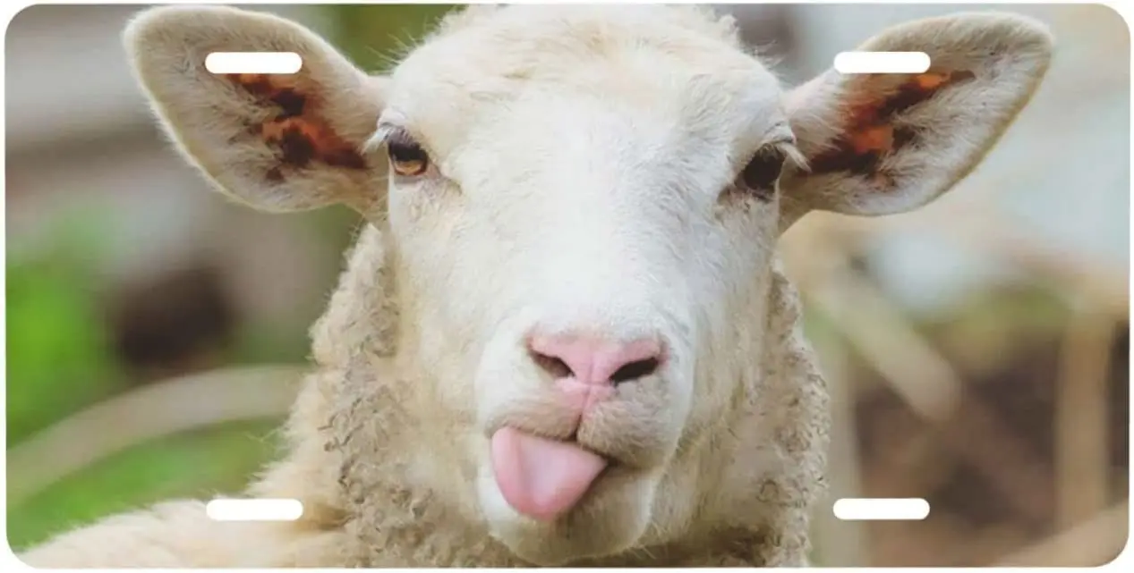 

Personalized License Plate,Funny Naughty Sheep Tongue Cute Animal Aluminum License Plate for Car Easy Mounting Indoor/Outdoor 6
