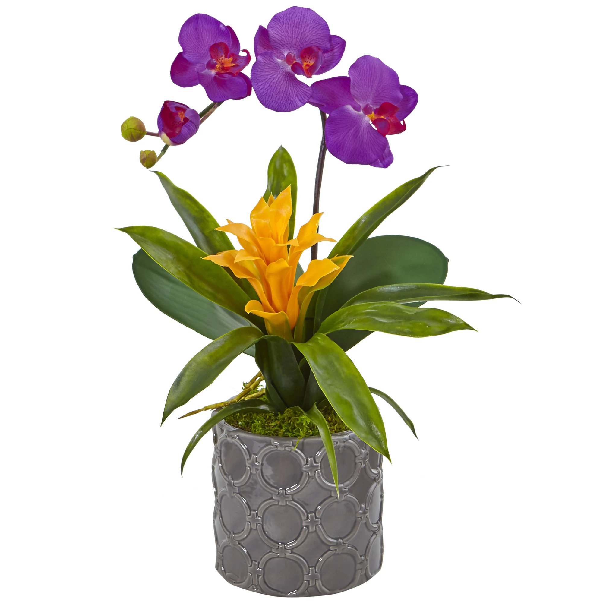 

Mini Phalaenopsis Orchid and Bromeliad Silk Arrangement in Gray Vase