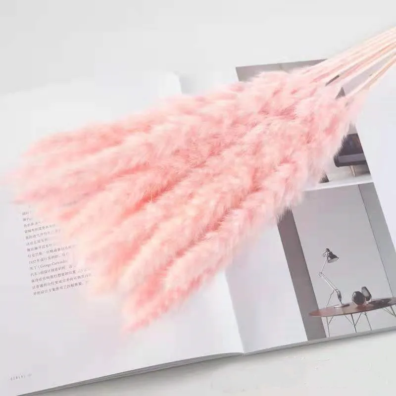 

15 Pcs Dried Flower Small Reed Eternal Flower Pampas Grass Wedding Decor Flower Pink Room Decor Wedding Accessories Pampas