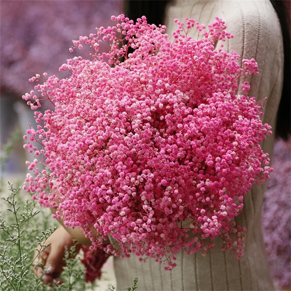 

Сушеные цветы гипсофила, букет