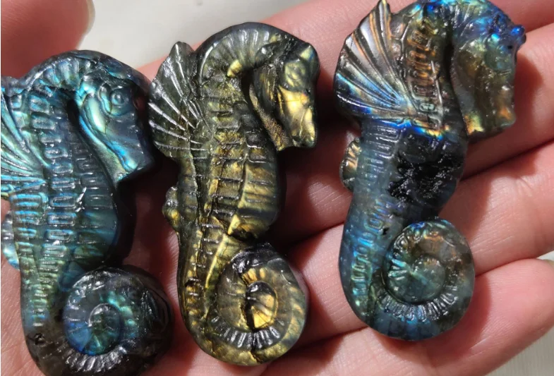 

Natural Labradorite Hand Carved The sea horse Quartz Crystal Healing 1pc