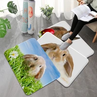 cute little rabbit long rugs retro multiple choice living room kitchen rug non slip bedside area rugs