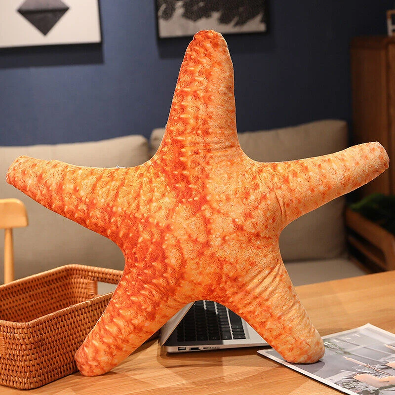 

Funny Simulation Shell Plush Toy Pillow Home Decoration Stuffed Star Pillow Office Cushion Pillows Children's Birthday Gifts