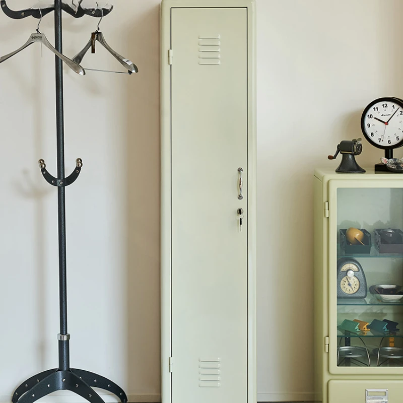 

Wardrobe modern and simple master bedroom wardrobe iron + spraying