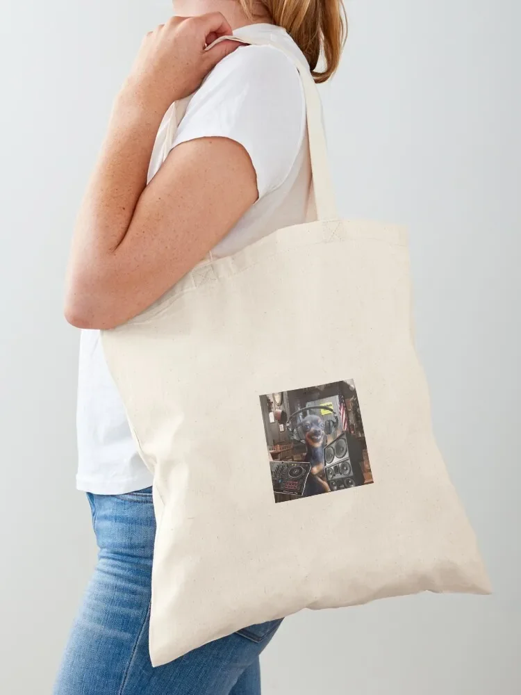 DJ KURTIS Tote Bag Сумки-шопперы Женские сумки многоразовые для покупок Женская пляжная