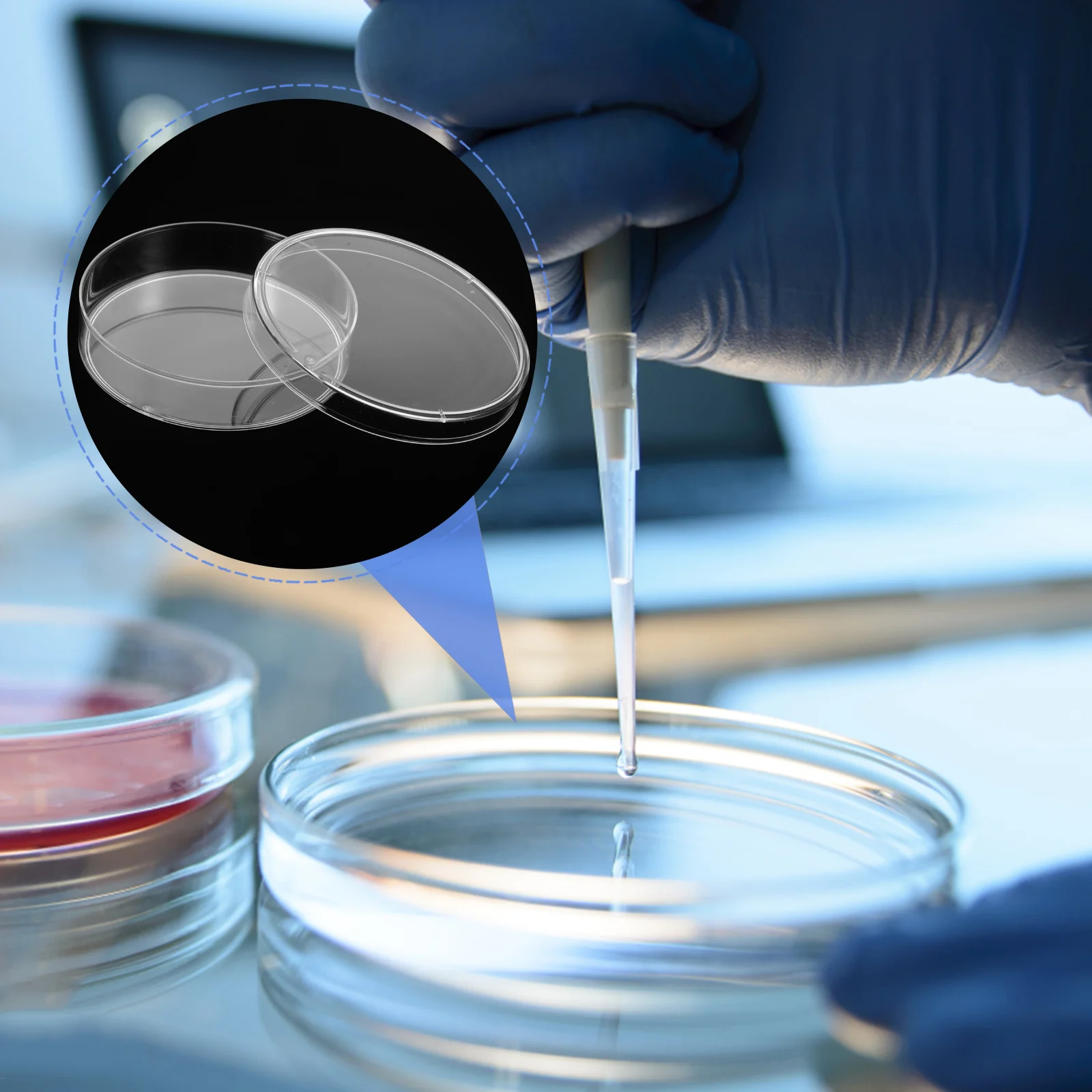 

10 Pcs Square Petri Dish Mushroom Agar Plates Round Culture Plastic Chemistry Holder Science Supplies Dishes