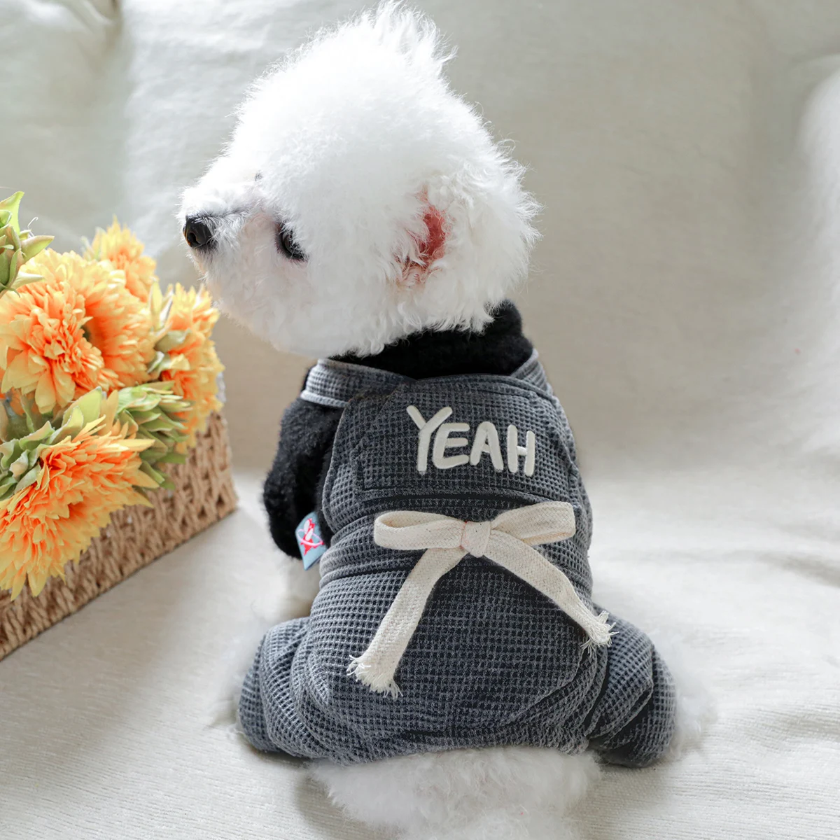 Зимнее Толстое Плюшевое Черное Хлопковое Пальто Для Маленьких И Средних Собак