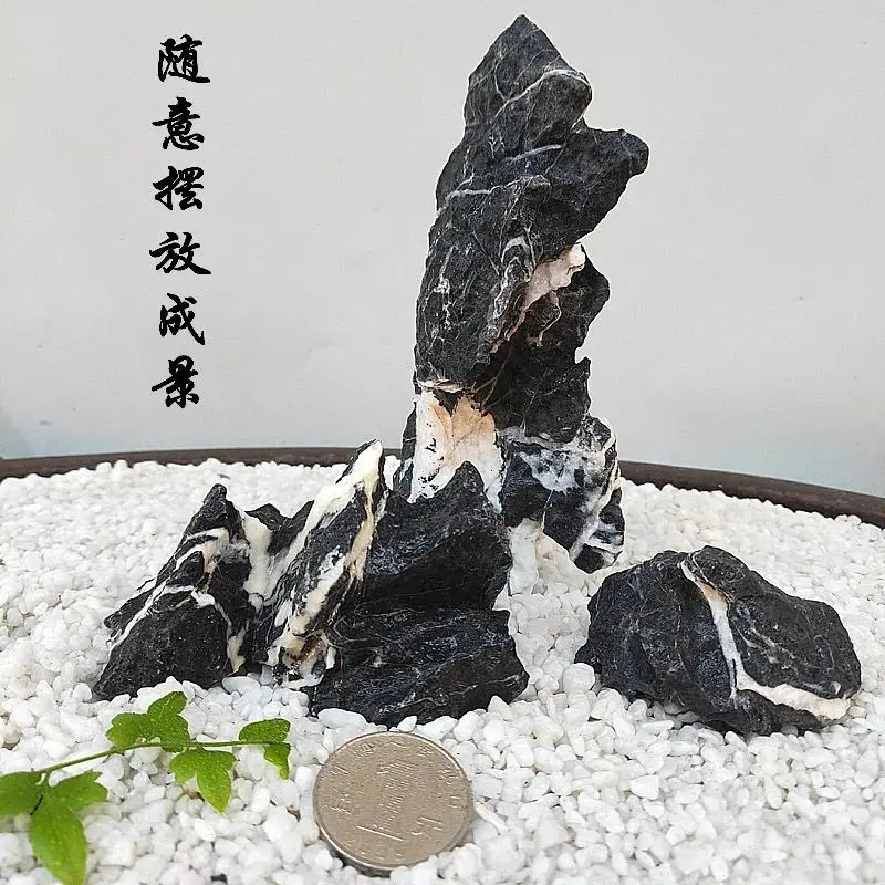 10Pcs Qinglongshi Small Pickling Selected Micro Grass Tank Landscape Stone Natural Moss Tank Mini Ornaments Small Rockery Stone