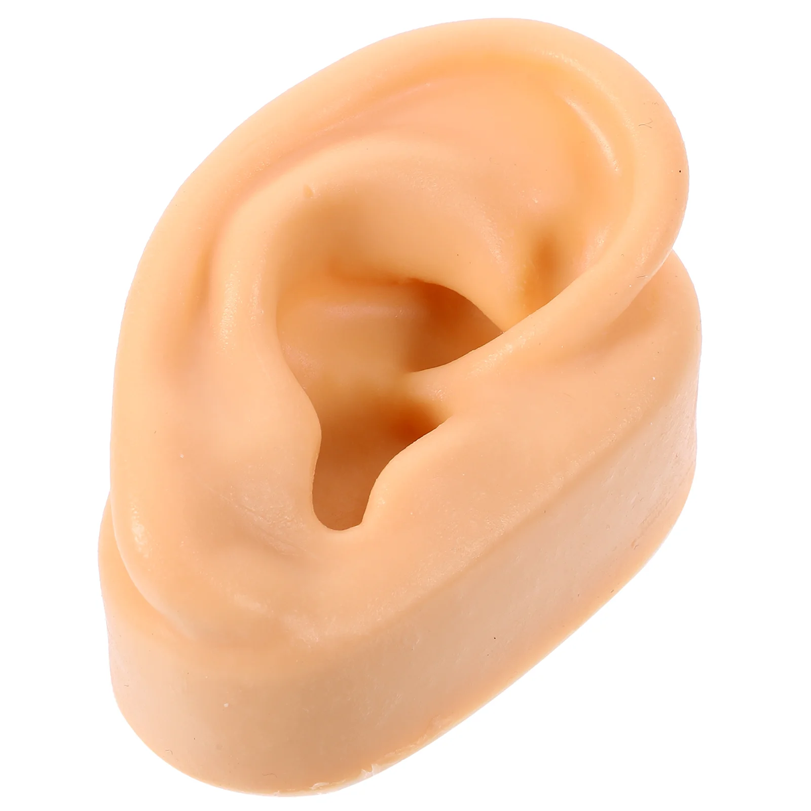 

Ear Prank Mold Artificial Toy Model Decorative Silicone Fake Human Toys Display Props Body Parts