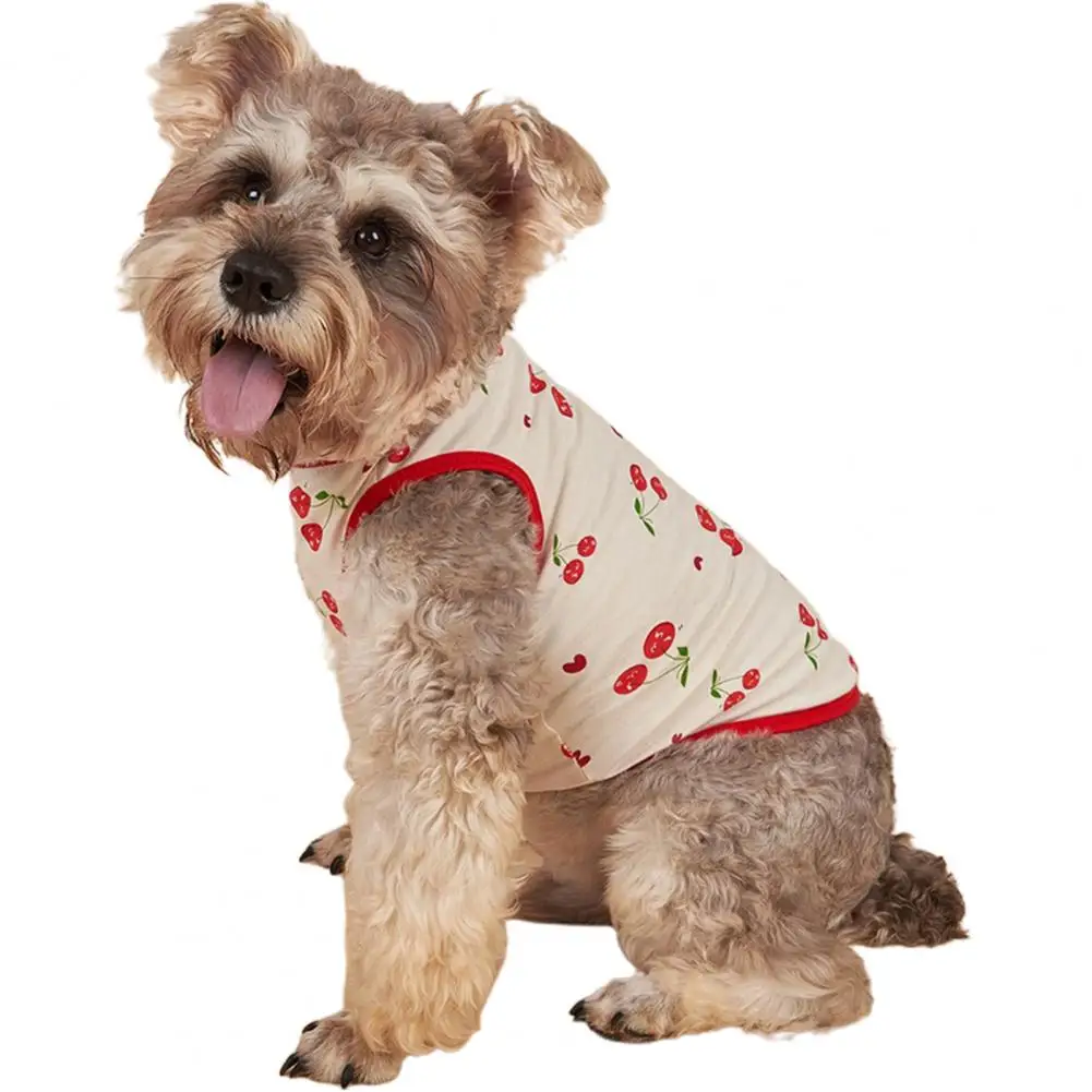 

Pretty Dog Clothes Fruit Print Soft Girl Boy Chihuahua Pet Clothing Dog Vest Thin Dog T-shirt Outdoor Walking