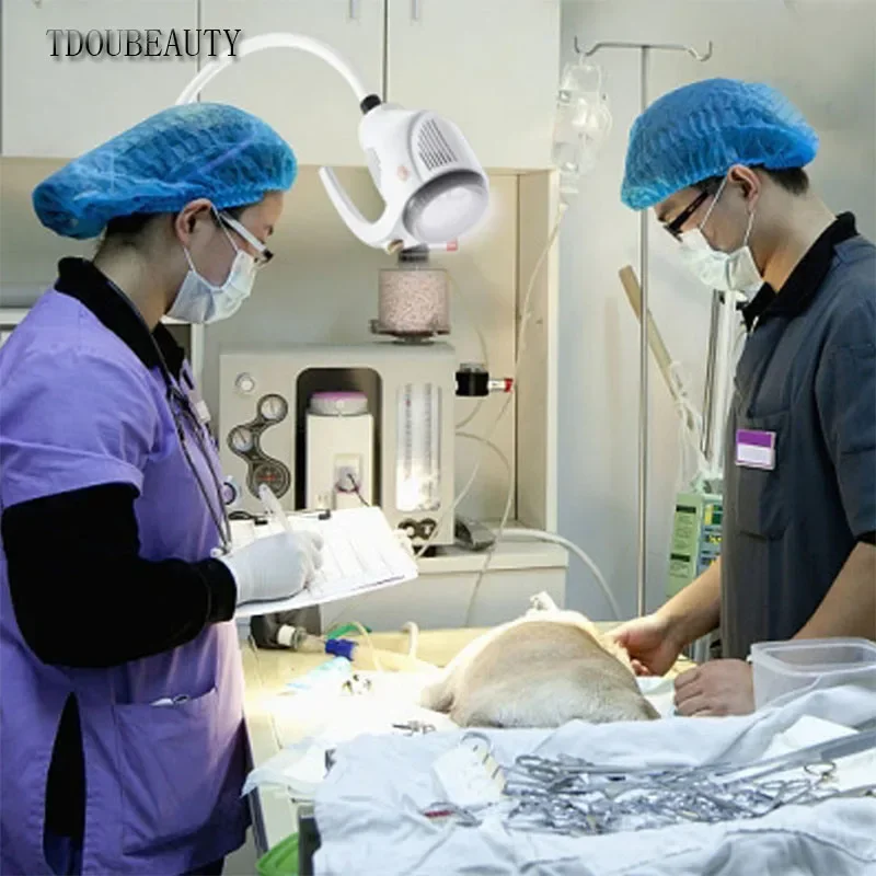 TDOUBUY KD-2021W-1 21W Led Стоматологическая микро-пластиковая хирургия общего назначения