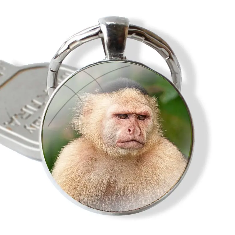 Брелок для ключей