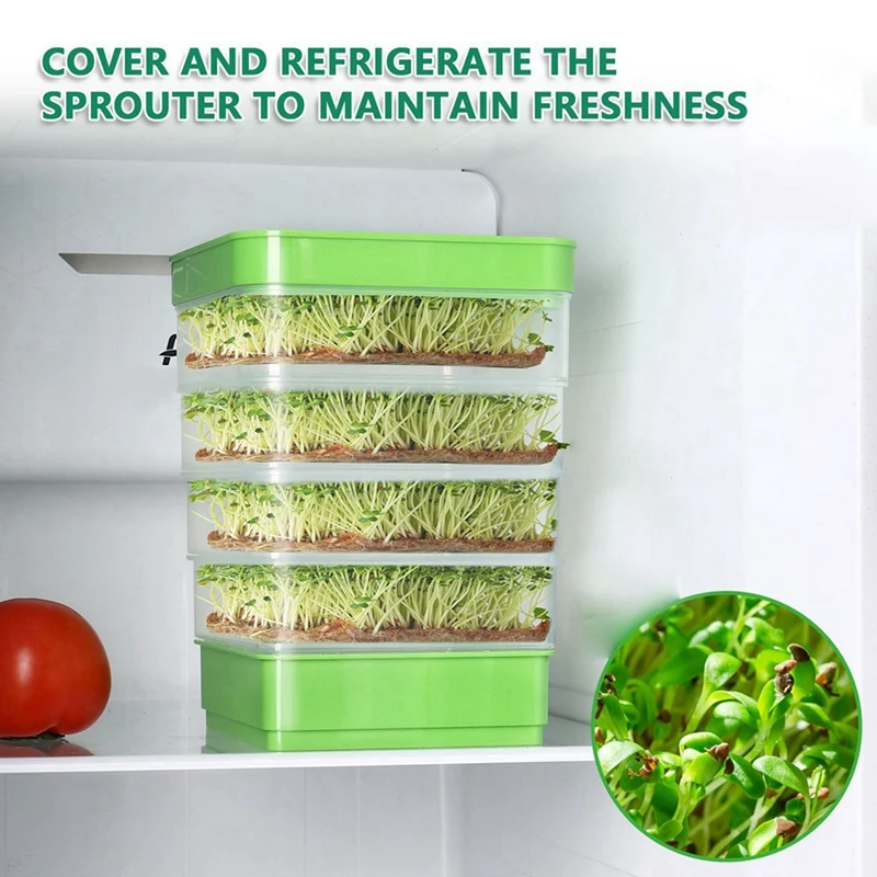 2 комплекта для проращивания семян фасоли лоток выращивания микрозеленых