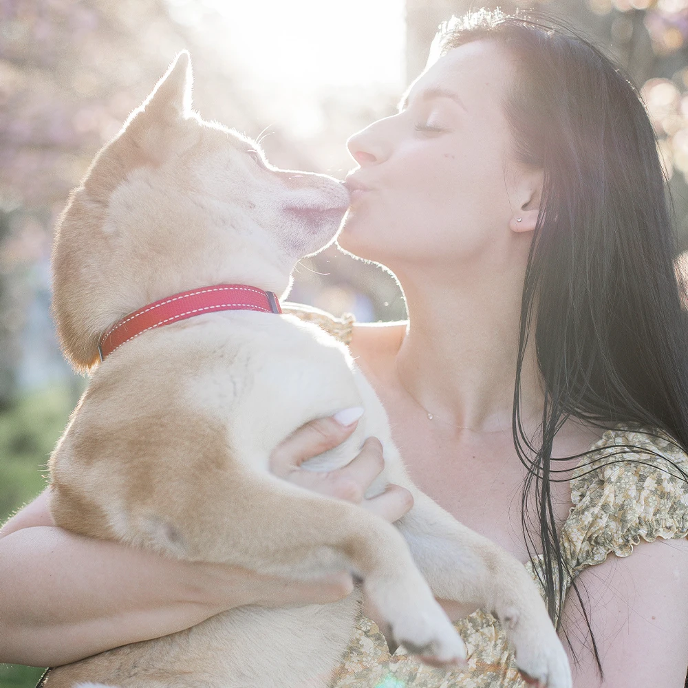 Регулируемый нейлоновый ошейник для домашних животных |