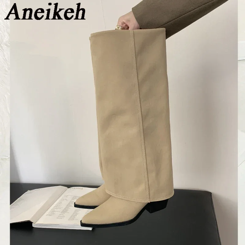 Aneikeh 2024 модные ранние рыцарские ботинки американский стиль остроносые высокие