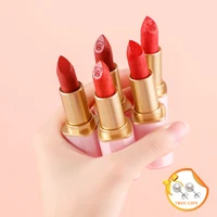 5 colors engraved matte lipstick for women makeup long lasting velvet non stick cup easy color lip stick daily beauty cosmetics