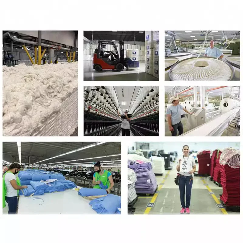 2024 белая футболка с круглым вырезом и принтом в виде лягушки грибов креветок