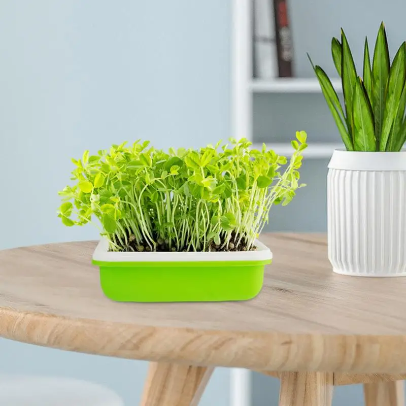 Лотки для прорастания растений система гидропоники выращивания комплект с