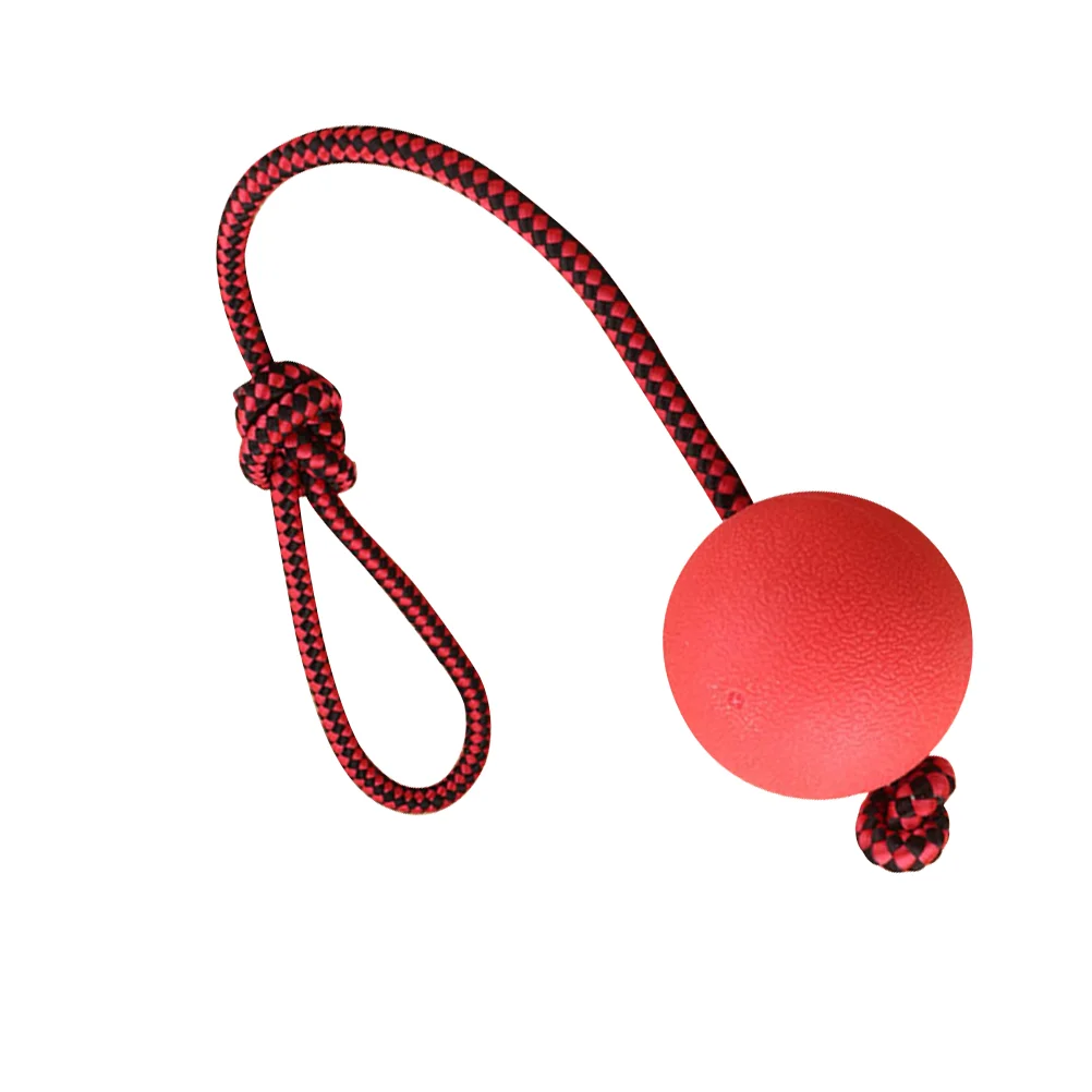 

Pet Toy Ball Rubber Solid Elastic Ball Molar Bite-Resistant Training Tool for Dog Puppy (Red)
