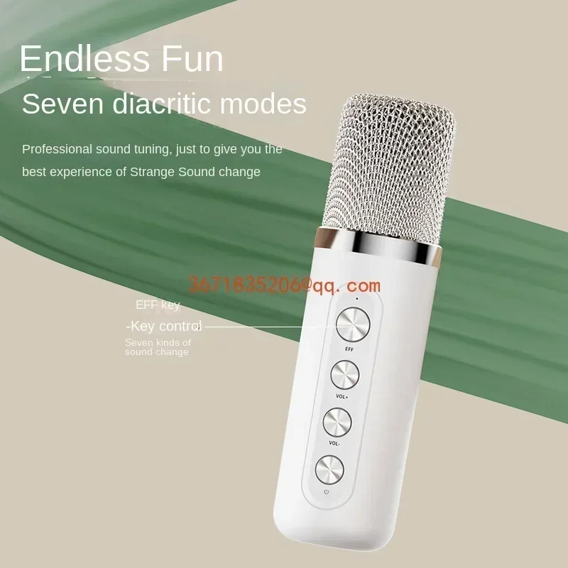 YS-219 Домашний телевизор KTV Беспроводной Bluetooth-динамик Микрофон Аудио Встроенный