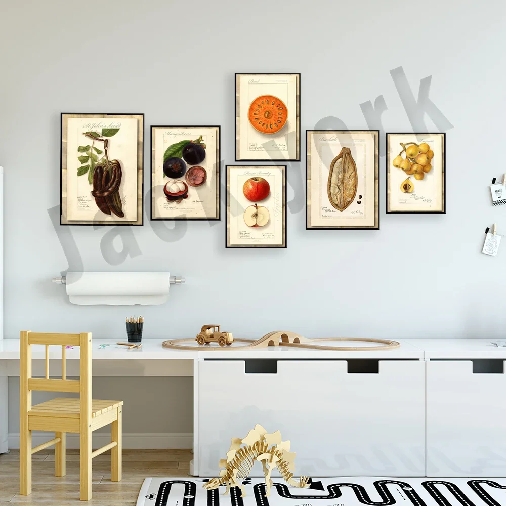 Vintage Watercolor Apple Loquat Mangosteen Baobab Canvas Print Poster Botanical Art Antique Picture Wall Decor Gift