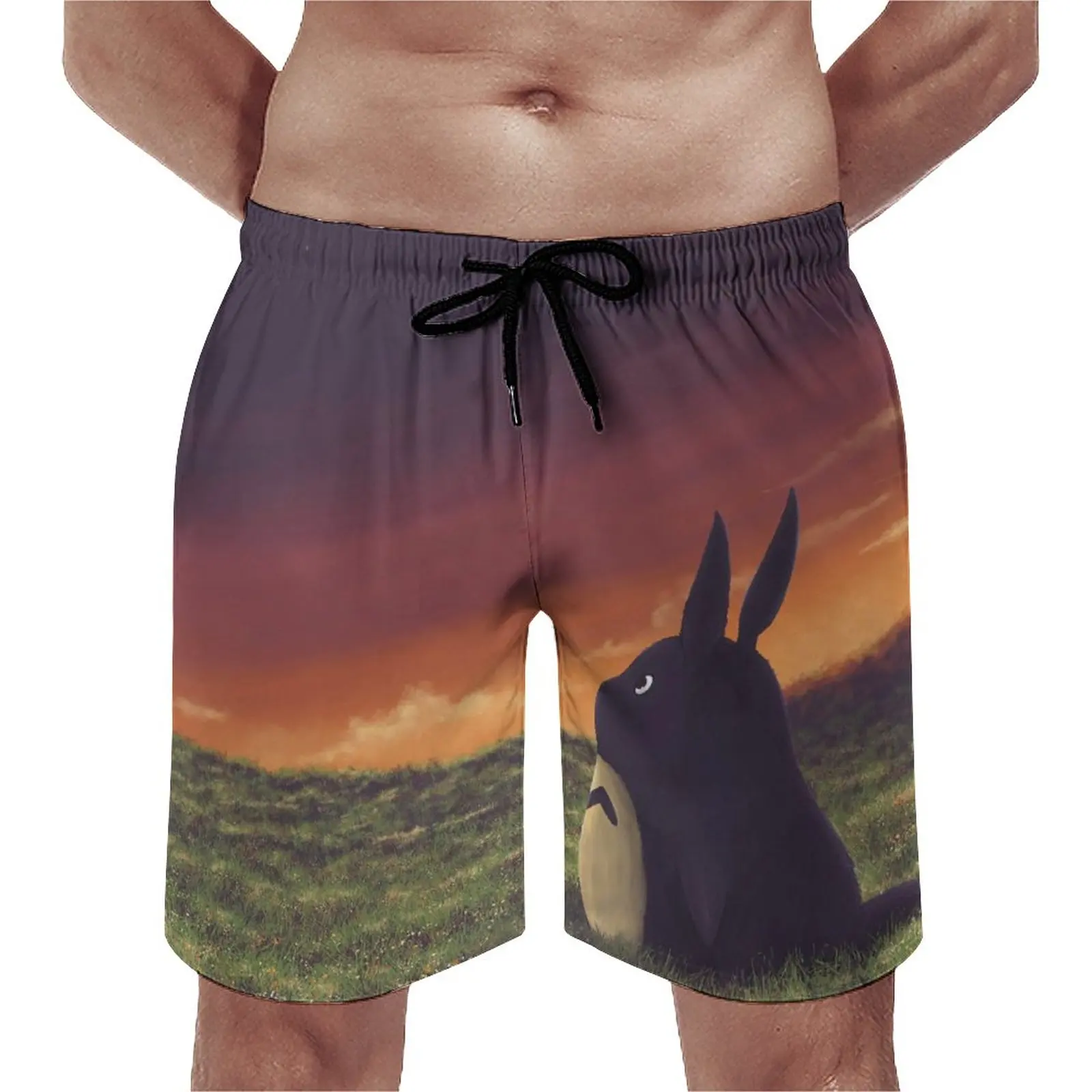 

Totoro, пляжные шорты для отдыха на природе, закат луна, удобные мужские плавки