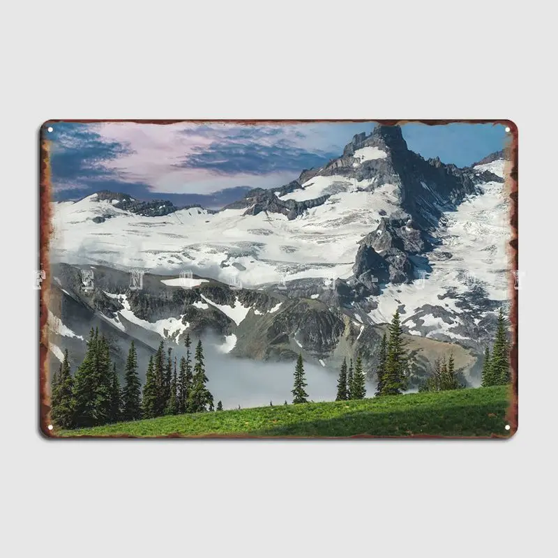 

Rainier National Wonder Metal Sign Cinema Living Room Decoration Club Bar Wall Decor Tin Sign Posters