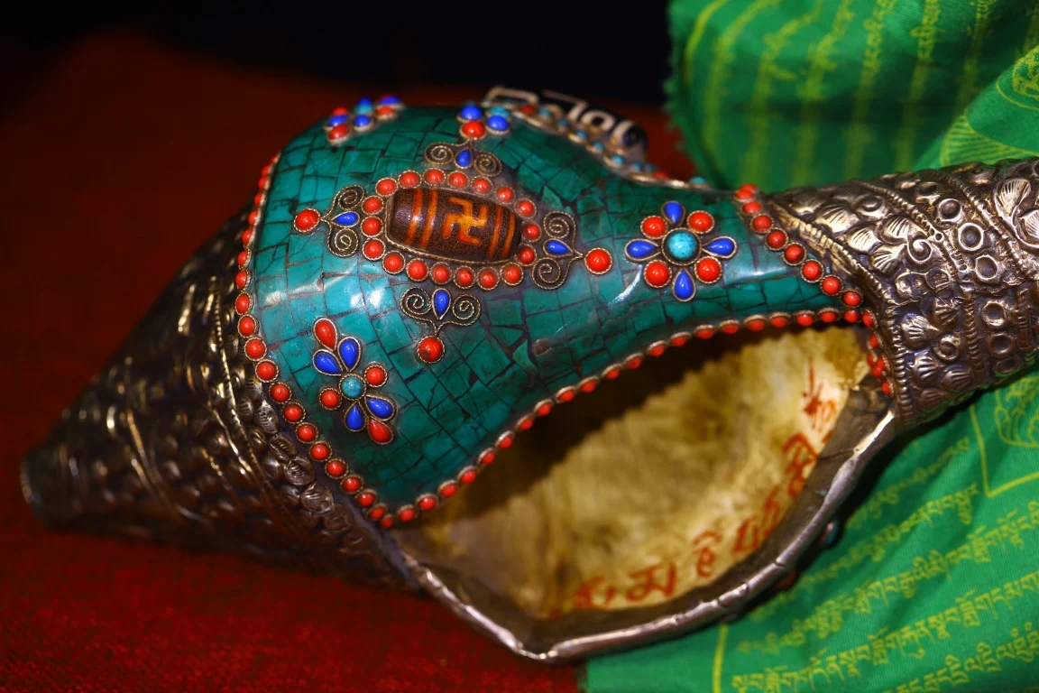 Коллекция тибетских храмов 13 дюймов старый натуральный раковины циннабар