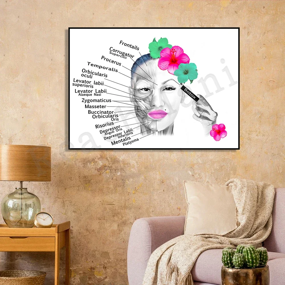 Постер анатомии лица мышцы и прожилки косметолог пластика хирурга массажный