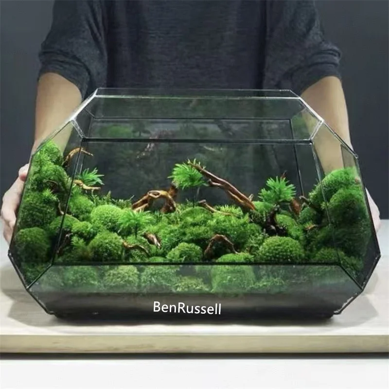 

Геометрический стеклянный террариум BenRussell