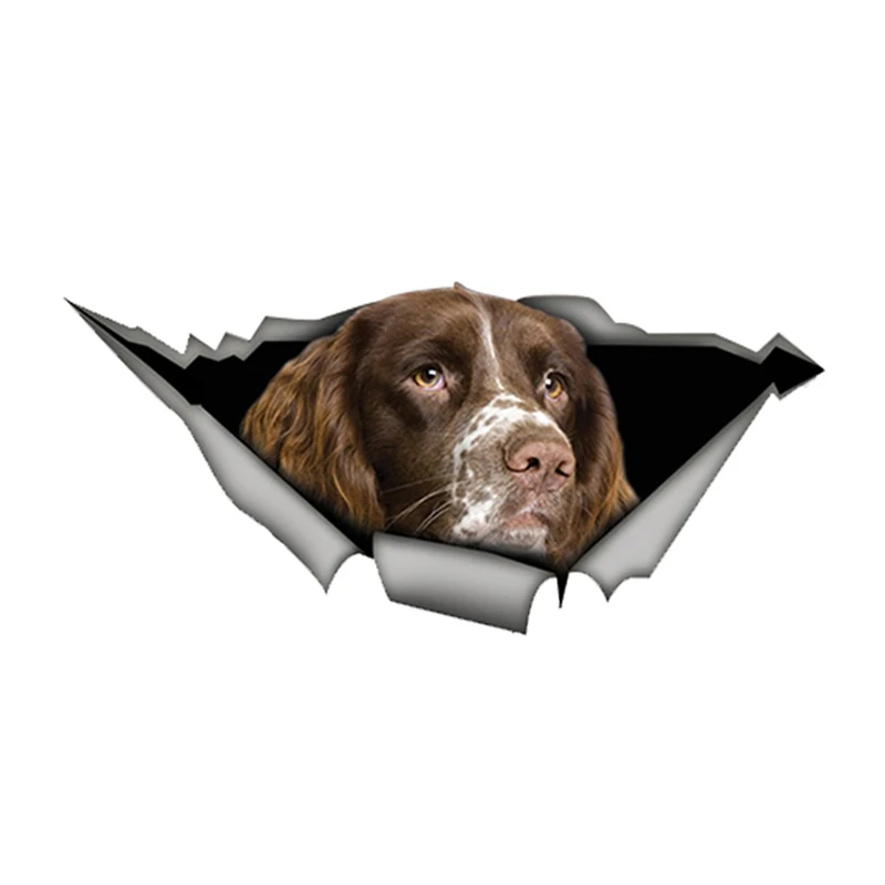 

V1638# Springer Spaniel Car Sticker Decal Waterproof PVC Car Styling Pet Dog Decals Pegatinas Para Coche