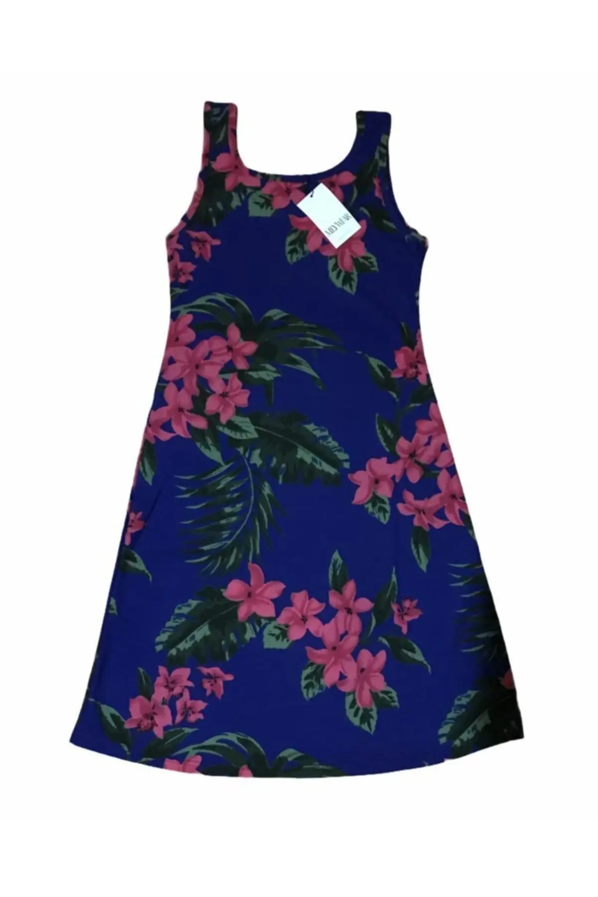 

Women's Multicolour Print Dress Regular Sleeveless Blue Zero Sleeve Medium