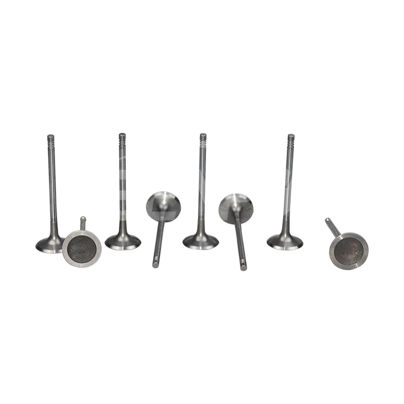 

SenPei Auto Parts New Product Stainless Steel Intake Engine Valve And Exhaust Engine Valve For Vw Passat Sagitar 06J 109 601 C