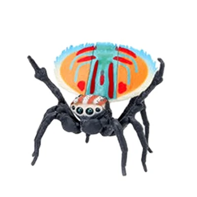 Бандай Настоящая книга-биография о симуляции насекомых Gashapon с игрушкой-фигуркой действующего ядовитого прыгающего паука Павлинчика.