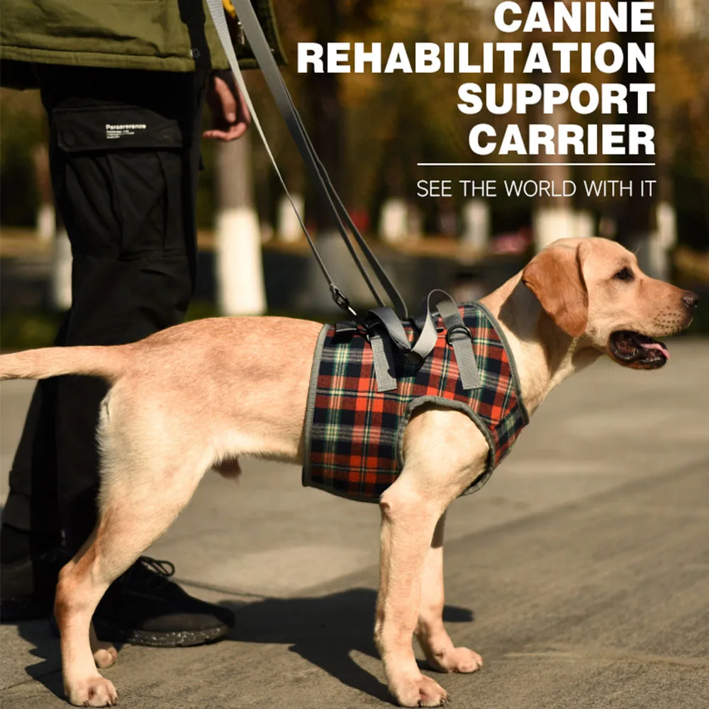 

Dog Support Harness For Back & Front Legs Lift Rehabilitation Adjustable Portable for Help Weak Injured Old Disabled Dog Walking