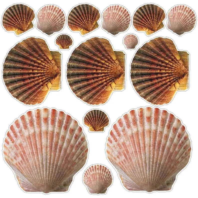 

Ocean Seashells Wall Decal Stickers Peel And Stick Beach Stickers