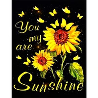 amtmbs diy painting by numbers sunflower you are my sunshine pictures by numbers drawing on canvas handpainted wall art decor