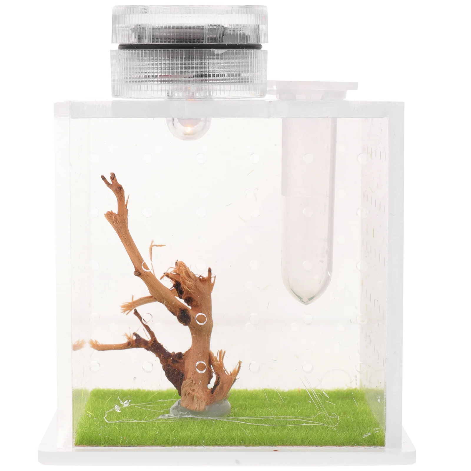 

1 Set Sturdy Practical Transparent Feeding Case Spider Breeding Case for Indoor Snail Spider