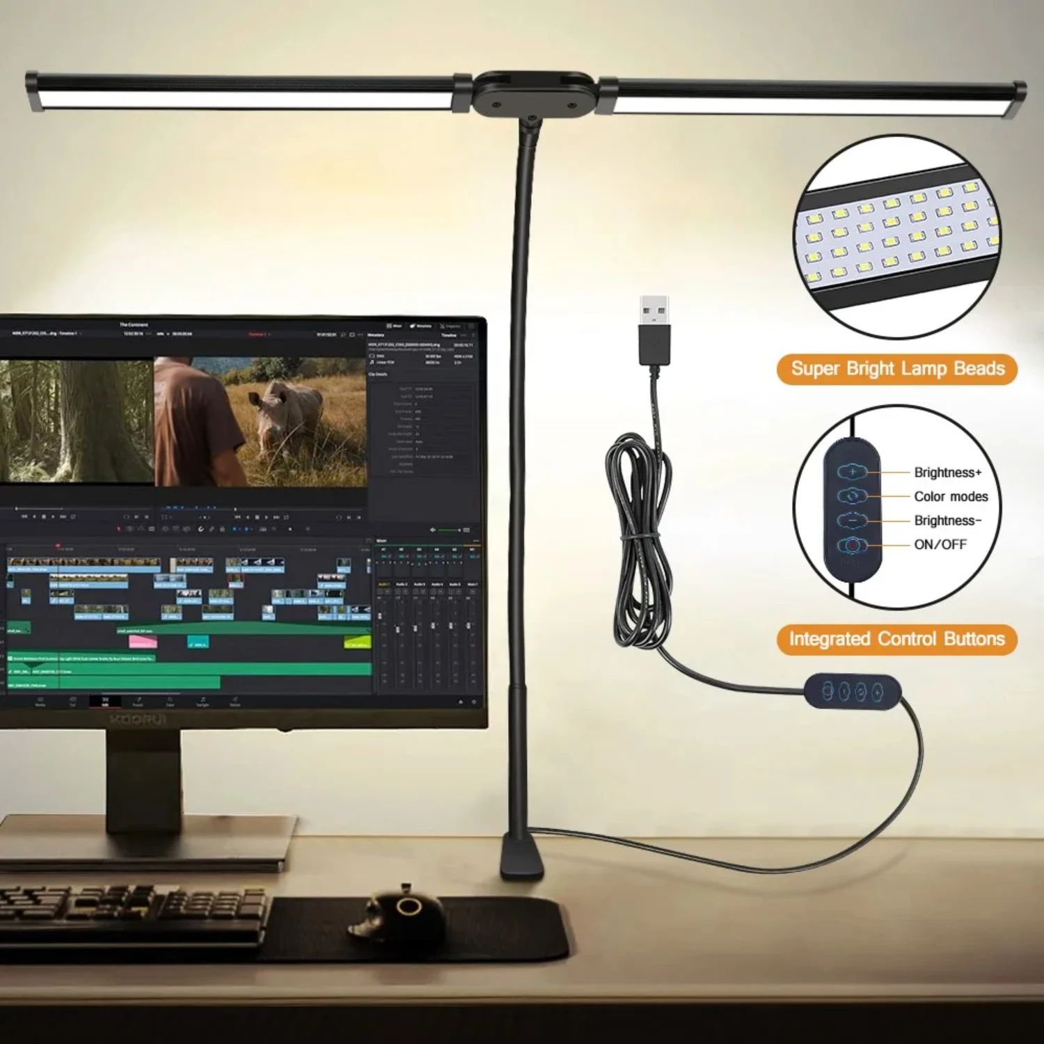 Double headed LED clip type remote control desk lamp reading desktop architectural with 5 color modes a