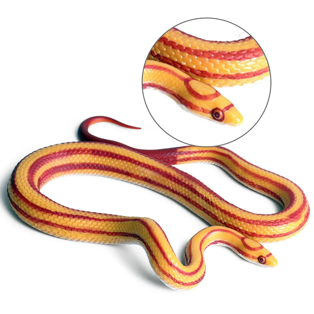 

Snake Realistic Amphibian Scary for Prop