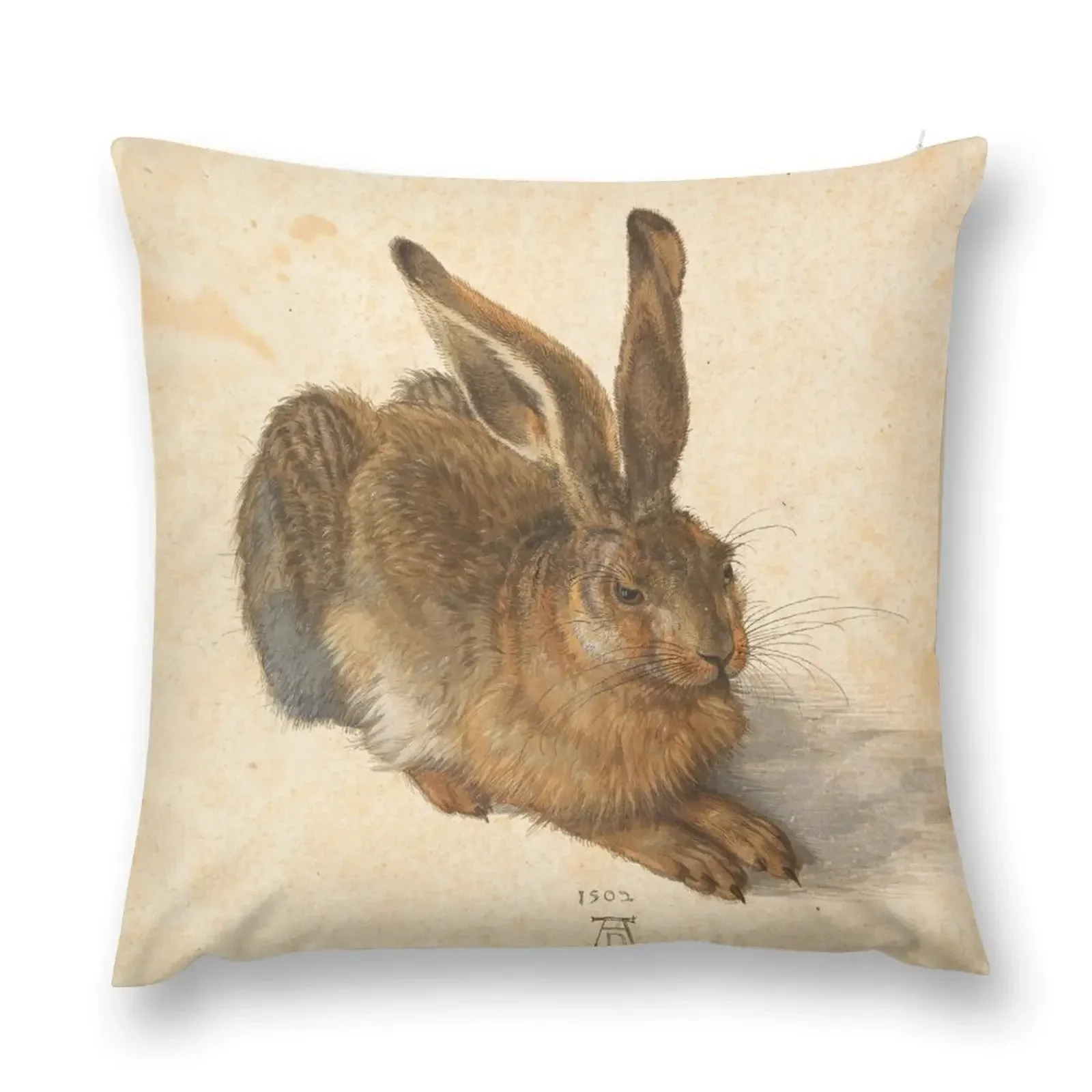Albrecht Dürer Hare декоративная подушка наволочка для гостиной