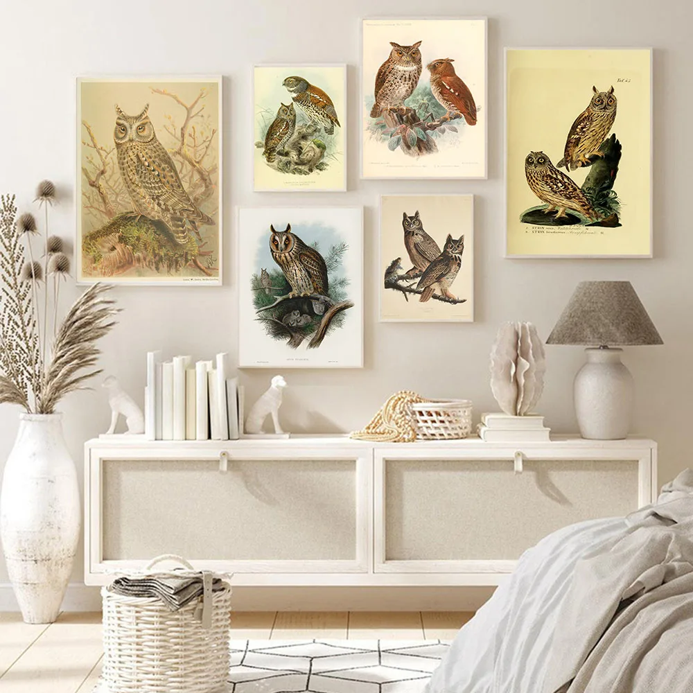 

Художественные картины на холсте в стиле ретро с обезьянами и совой, животные, иллюстрации на книгах, настенные художественные Плакаты для ...