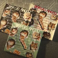 Футболочки с котиками#2