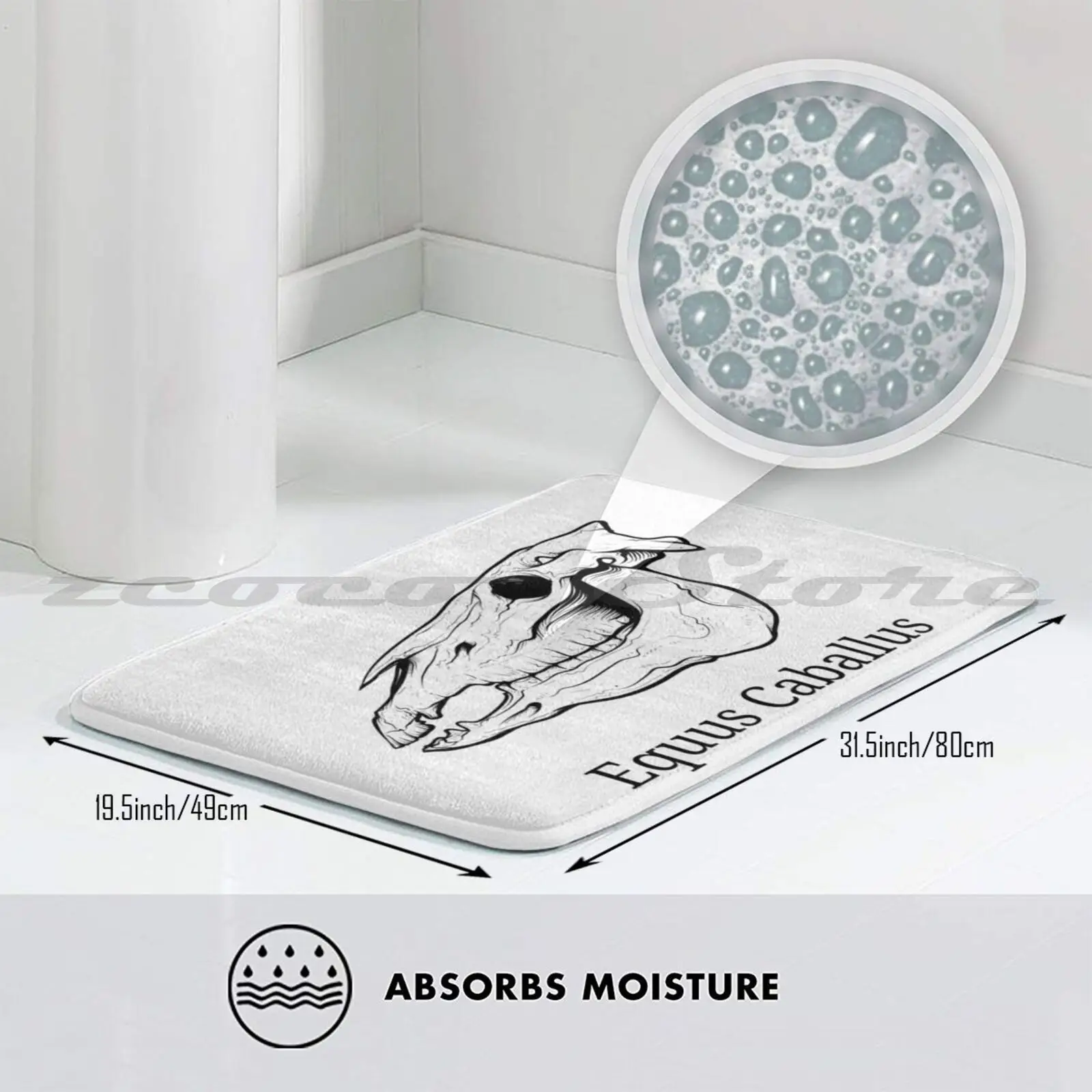 Череп лошади-Анатомия эквина-ветеринарный студенческий дизайн. Мягкий