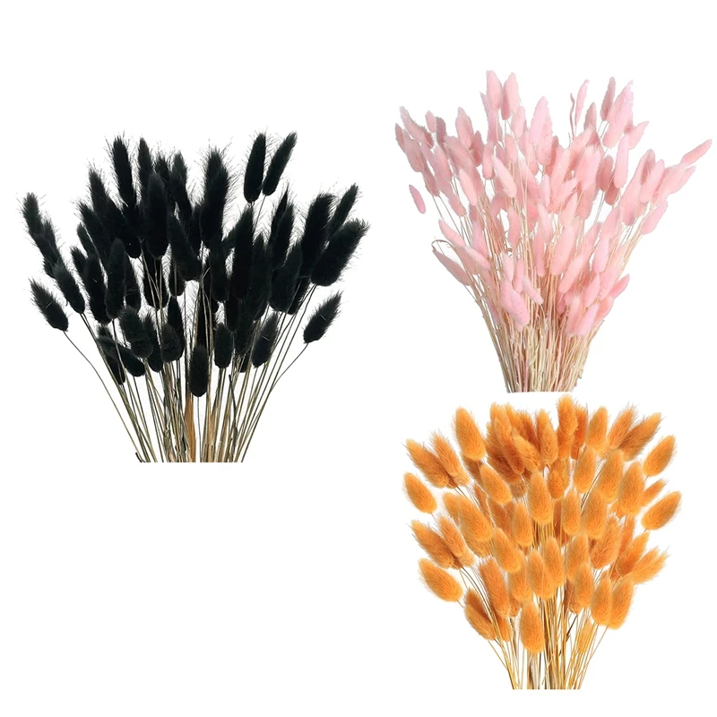 

60Pcs Lagurus Fall Dried Flowers Ovatus Rabbit Tail Grass For Dried Floral (Black)