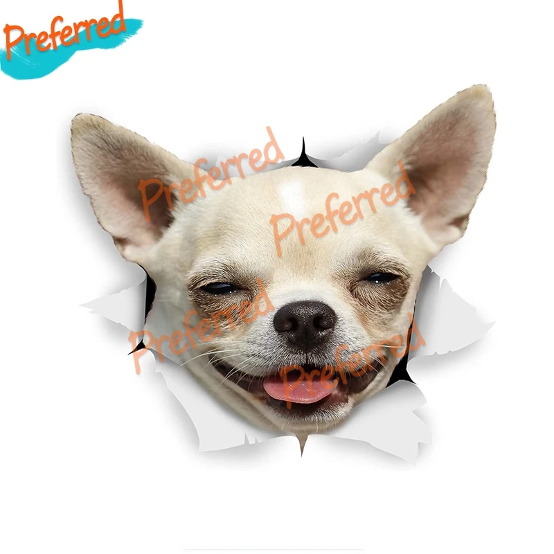 

High Quality 3D Dog Stickers Happy Chihuahua 0n Wall Fridge Toilet Car Bike 1099 Car Stickers